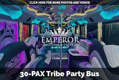 Tribe-Bus