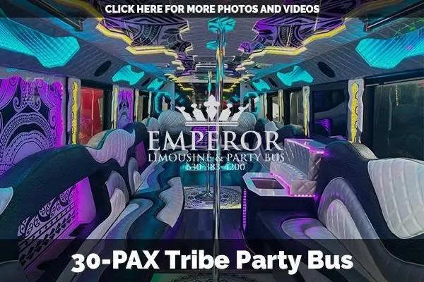Tribe-Bus